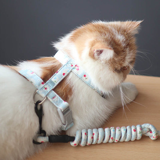 Simple Cat Anti-stroke Cat Leash