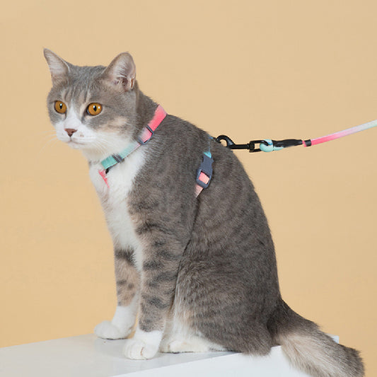 Fashion Cat Leash