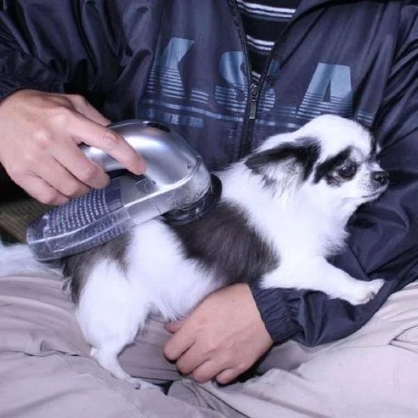 Portable Handheld Vacuum For Pet Hair