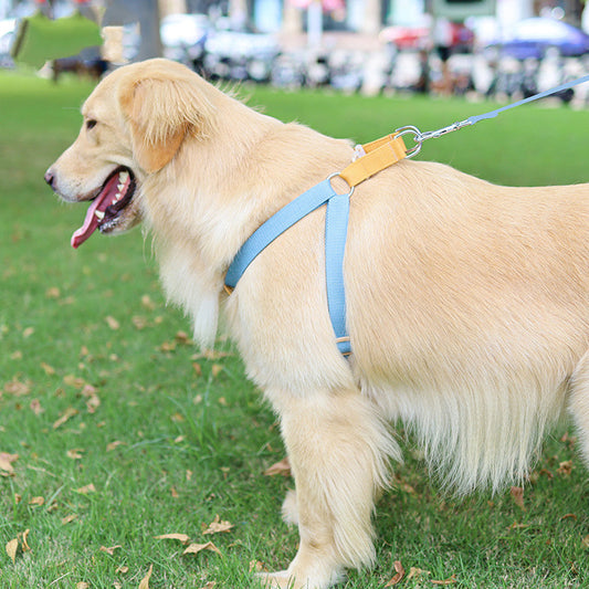 Vest-style Dog Drawstring Leash