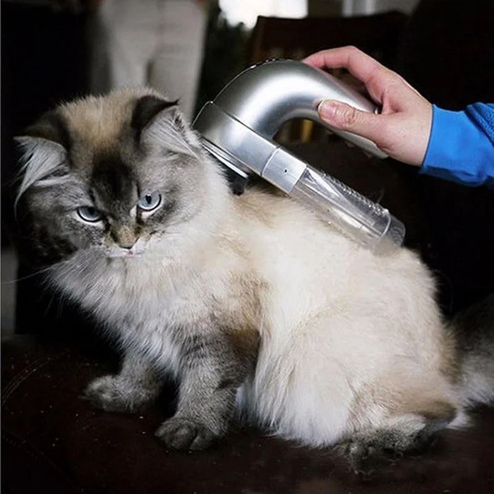 Portable Handheld Vacuum For Pet Hair