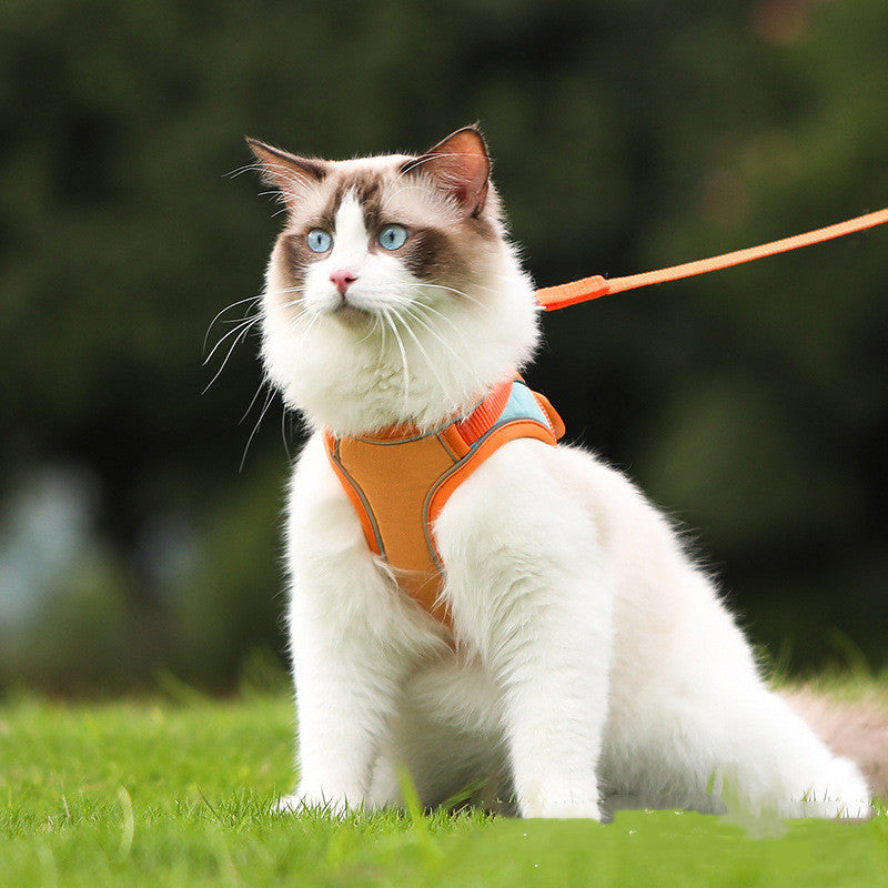Anti Escape Reflective Cat Harness Leash