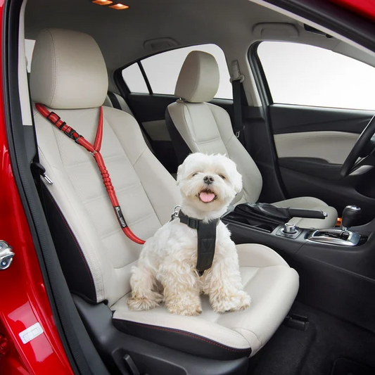 Wagswonder™ Adjustable Car Dog Leash