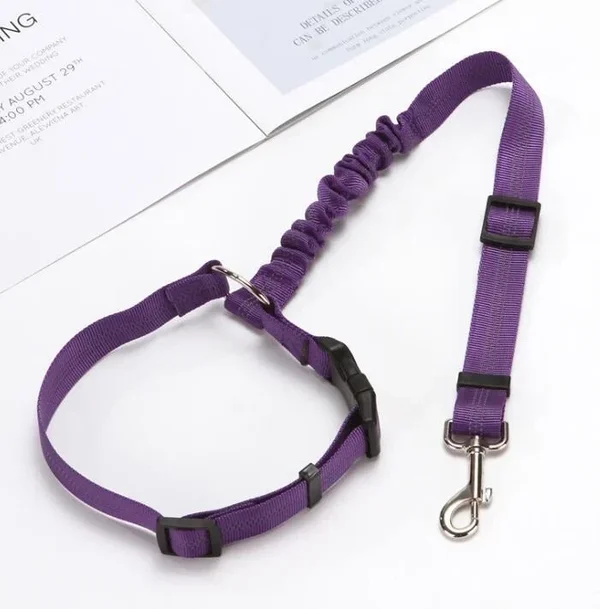 Wagswonder™ Adjustable Car Dog Leash