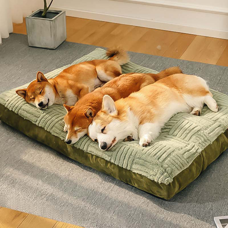 Extra Large Thick Orthopedic Dog Cushion Bed