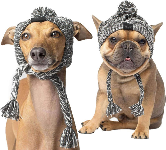 Adorable Dog Beanie-Buy 2pcs Get Free shipping