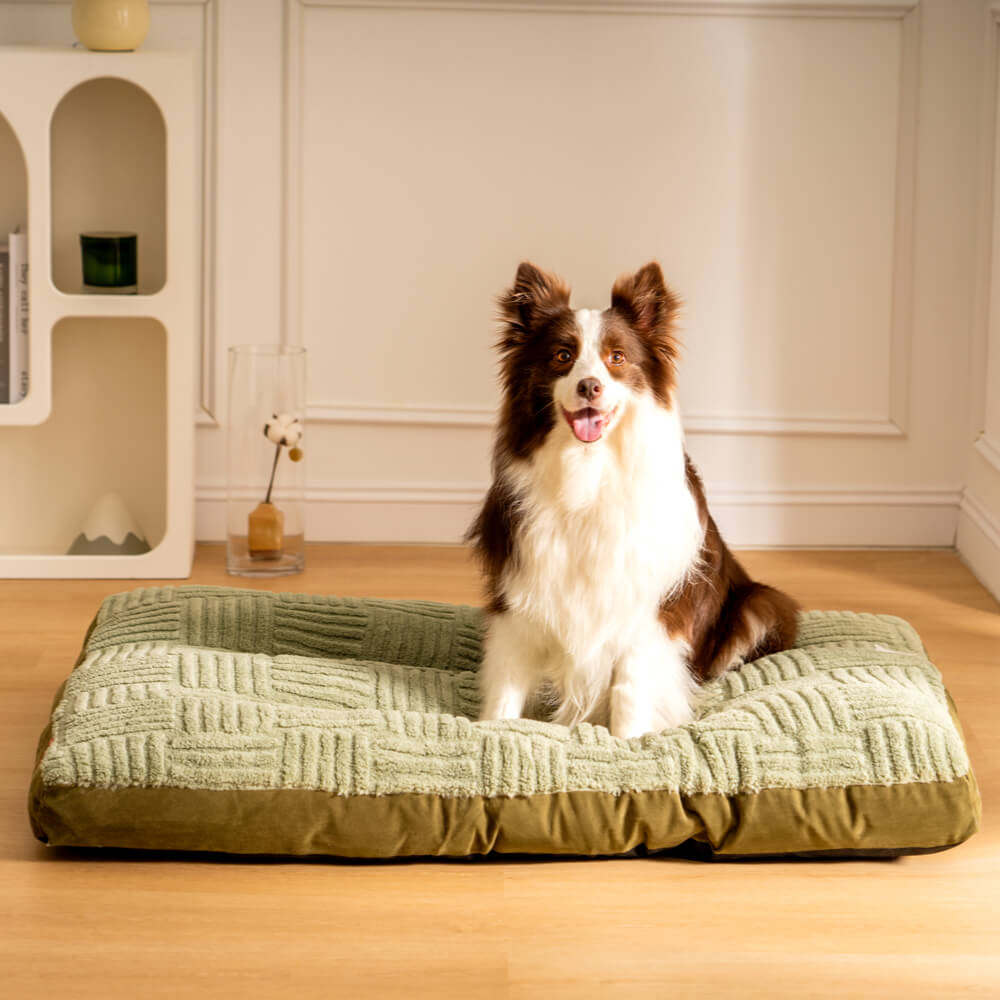 Extra Large Thick Orthopedic Dog Cushion Bed