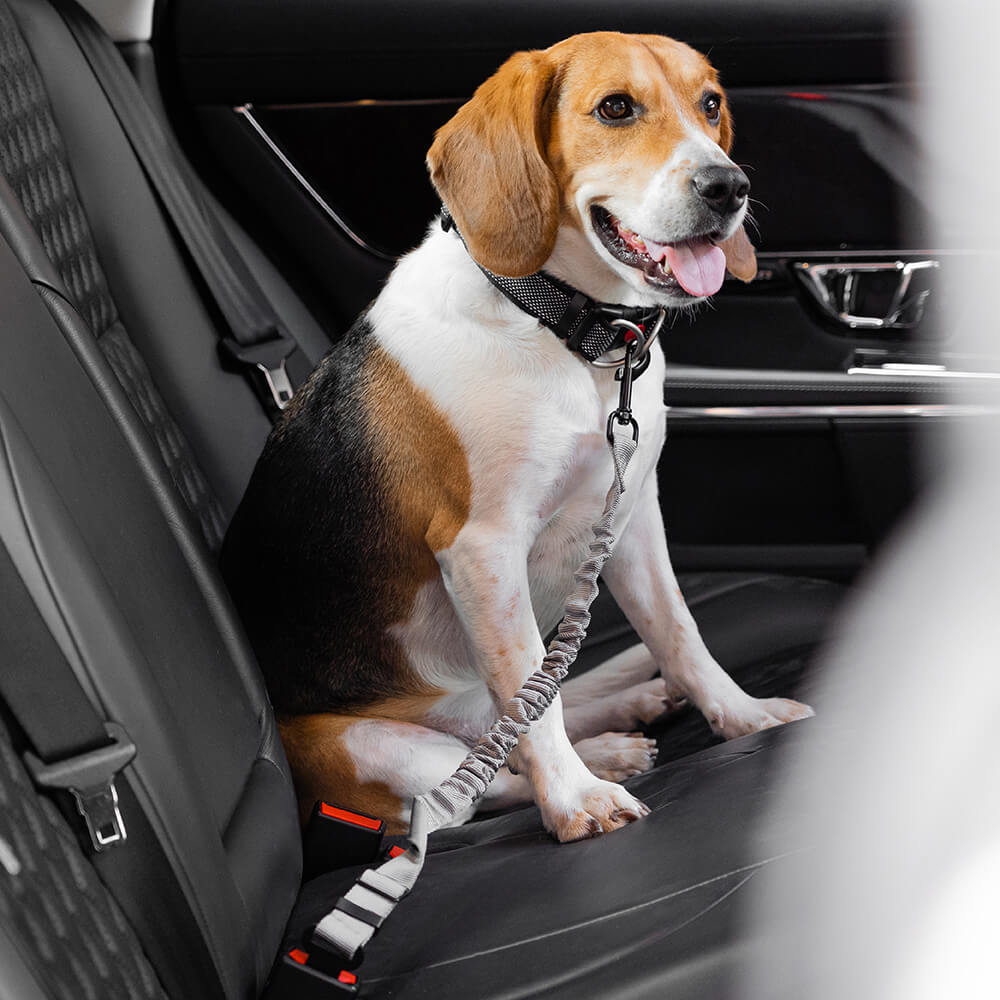 Buffer Adjustable Dog Car Seat Belt