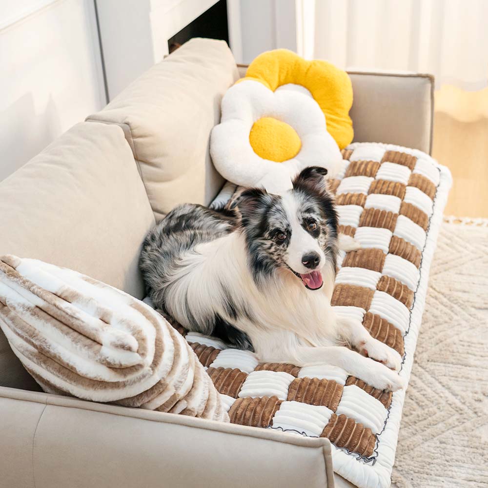 WagsWonder™ Stylish Cream-Colored Pet Mat for Beds and Couches