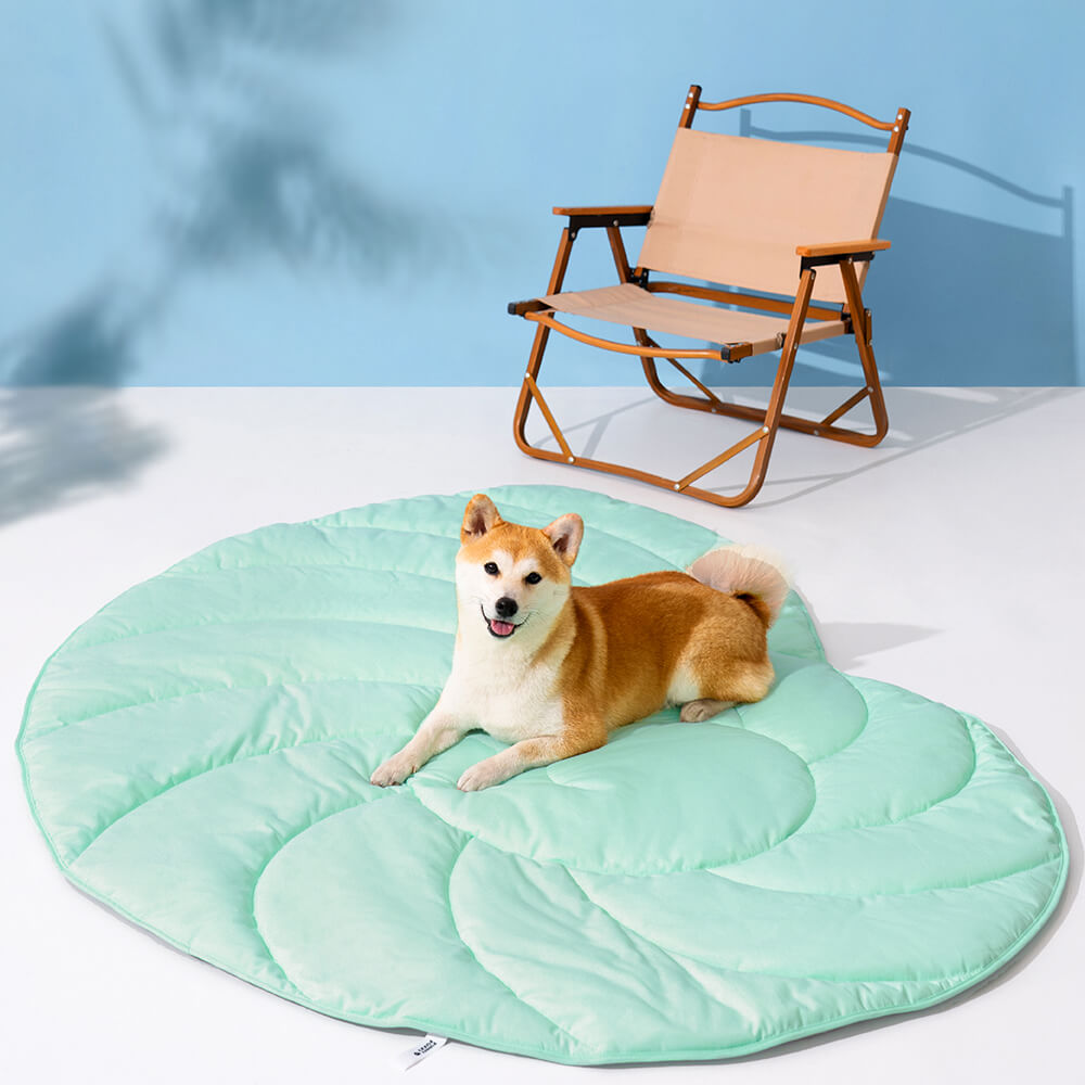 Super Large Seashell Shape Human Mat Dog Blanket