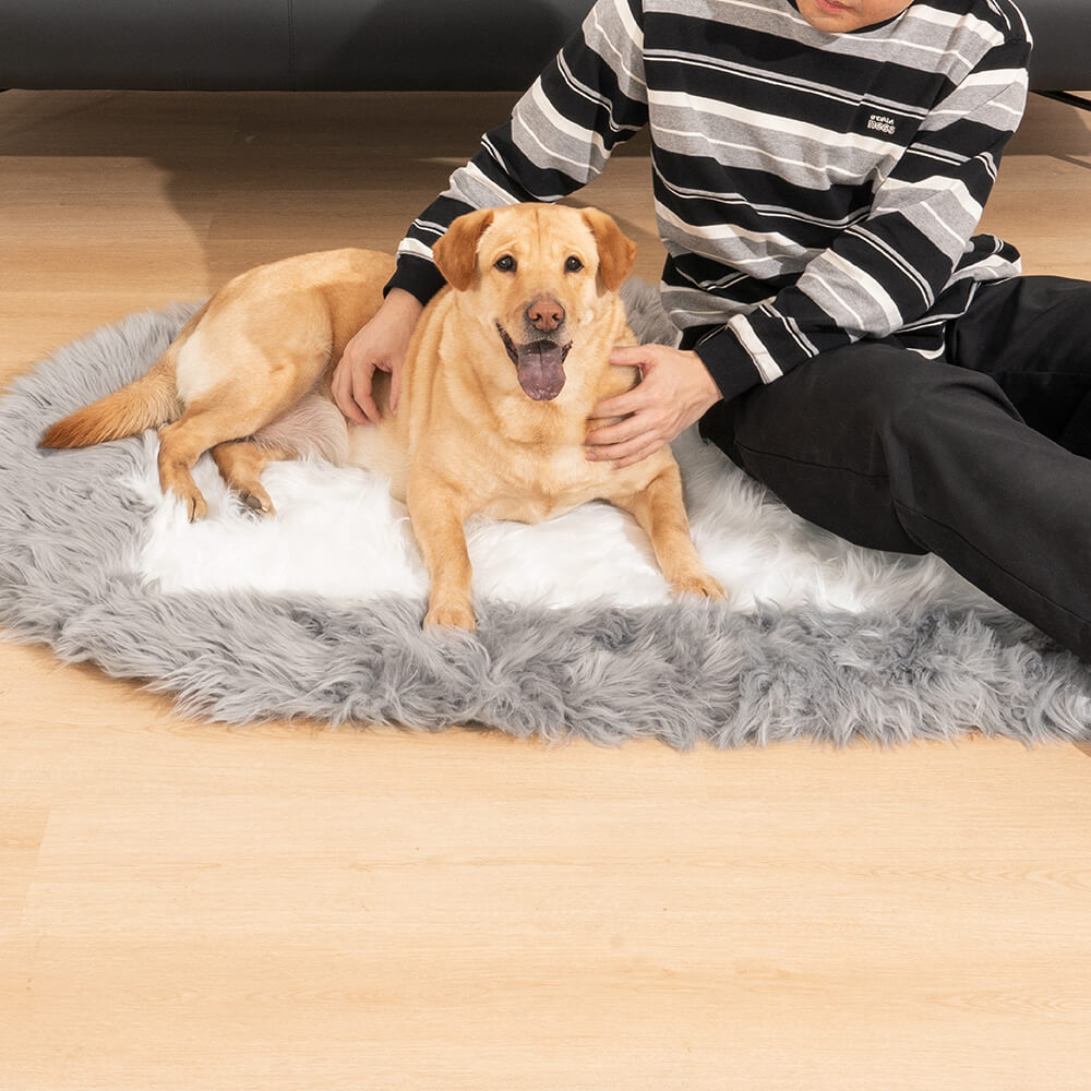 Super Soft Long Plush Fluffy Fur Oval Rug Pet Mat