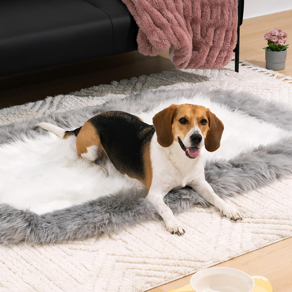 Super Soft Long Plush Fluffy Fur Oval Rug Pet Mat