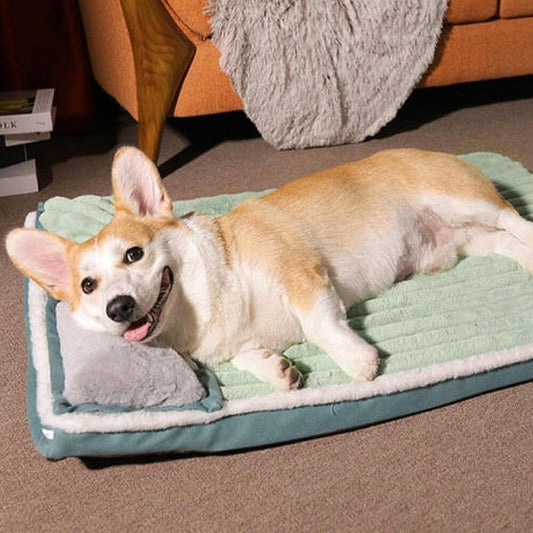 Velvet Calming Pillow Orthopedic Dog Bed