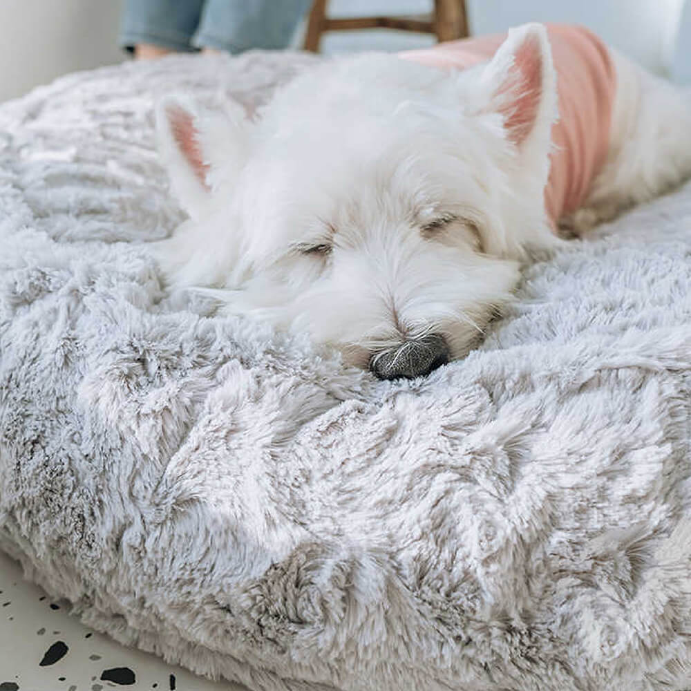 Warming Fluffy Round Cloud Shape Calming Dog Bed