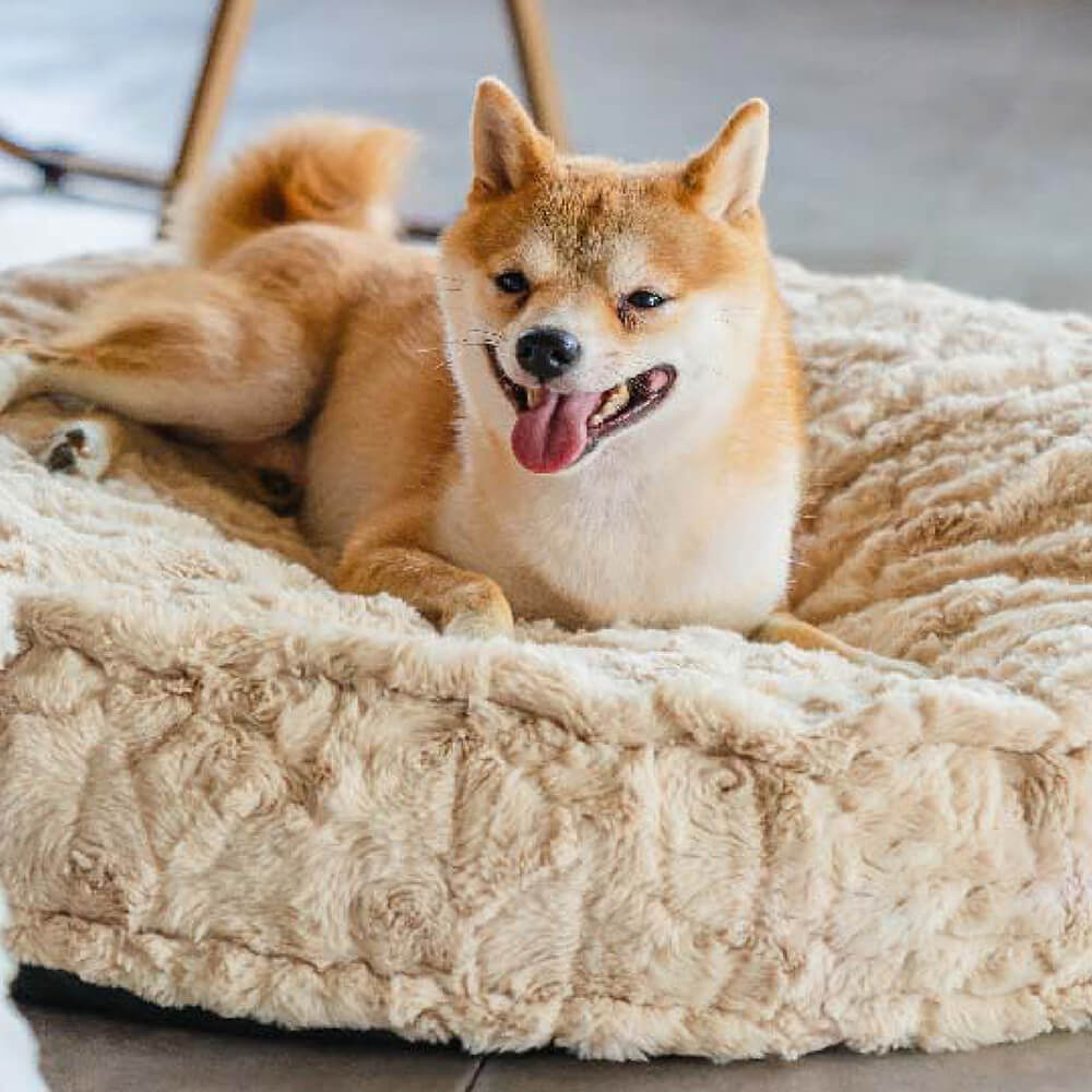 Warming Fluffy Round Cloud Shape Calming Dog Bed