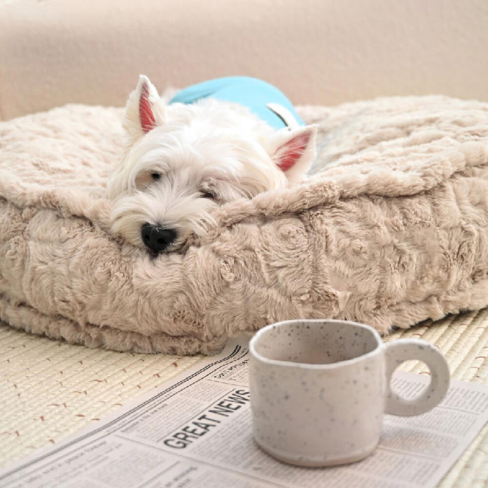 Warming Fluffy Round Cloud Shape Calming Dog Bed