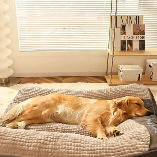 Large Thick Scratch-resistant Spine Protection Dog Cushion Bed