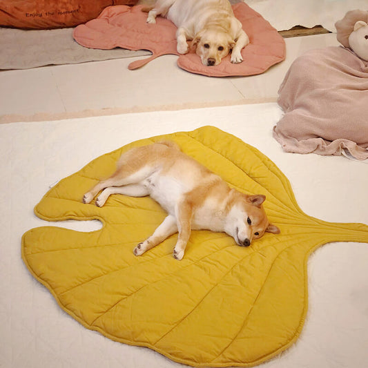 WagsWonder™ Leaf Shape Dog Blanket