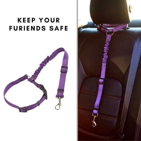 Wagswonder™ Adjustable Car Dog Leash