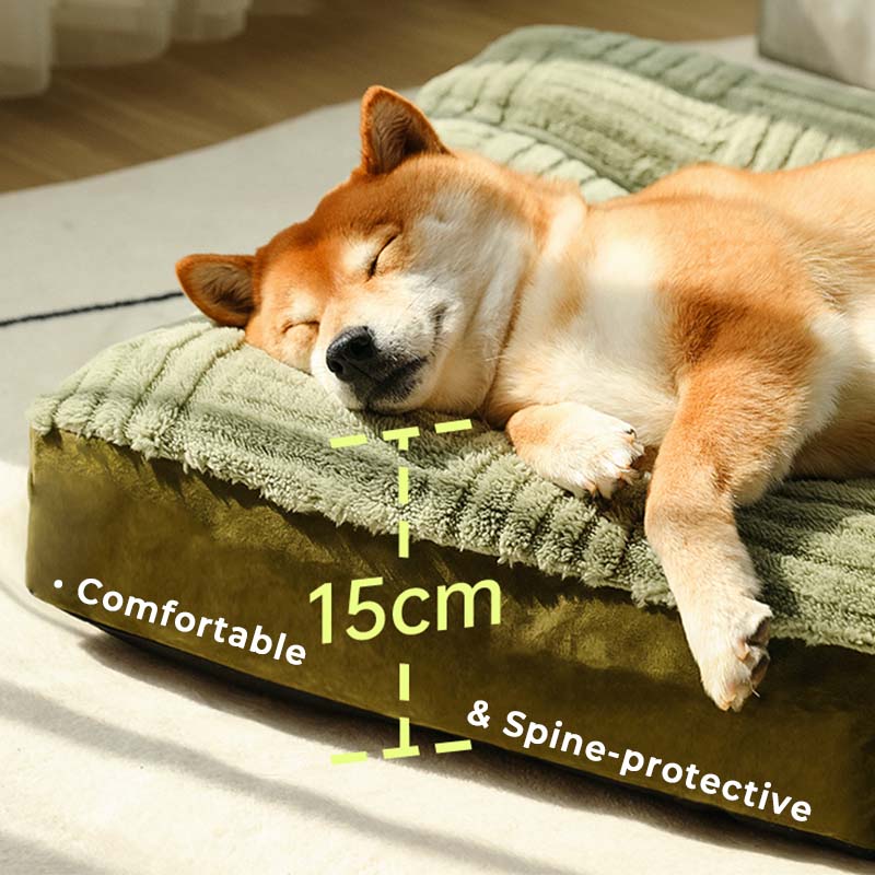 Extra Large Thick Orthopedic Dog Cushion Bed