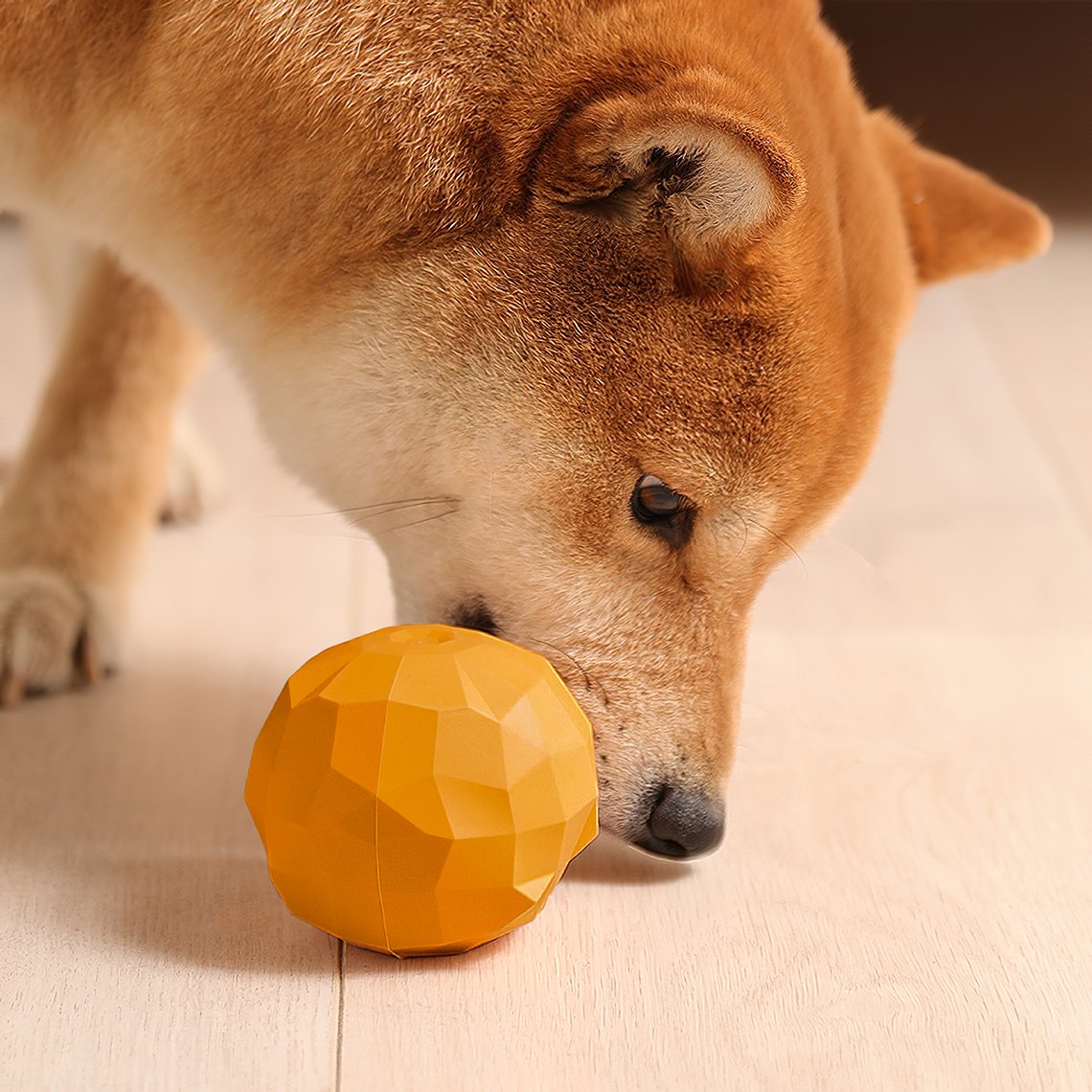 Fruit Shaped Treat Dog Toy