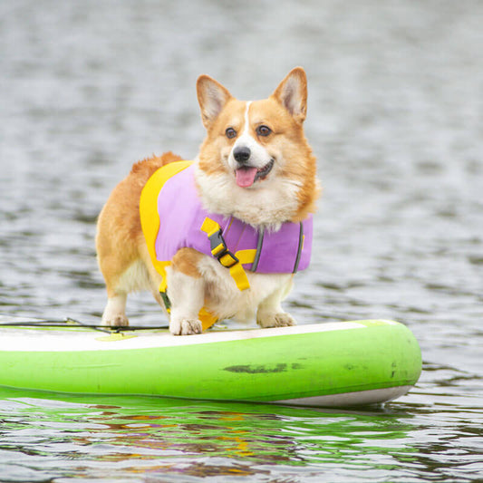 Adjustable Floatation Vest Dog Harness Dog Life Jacket