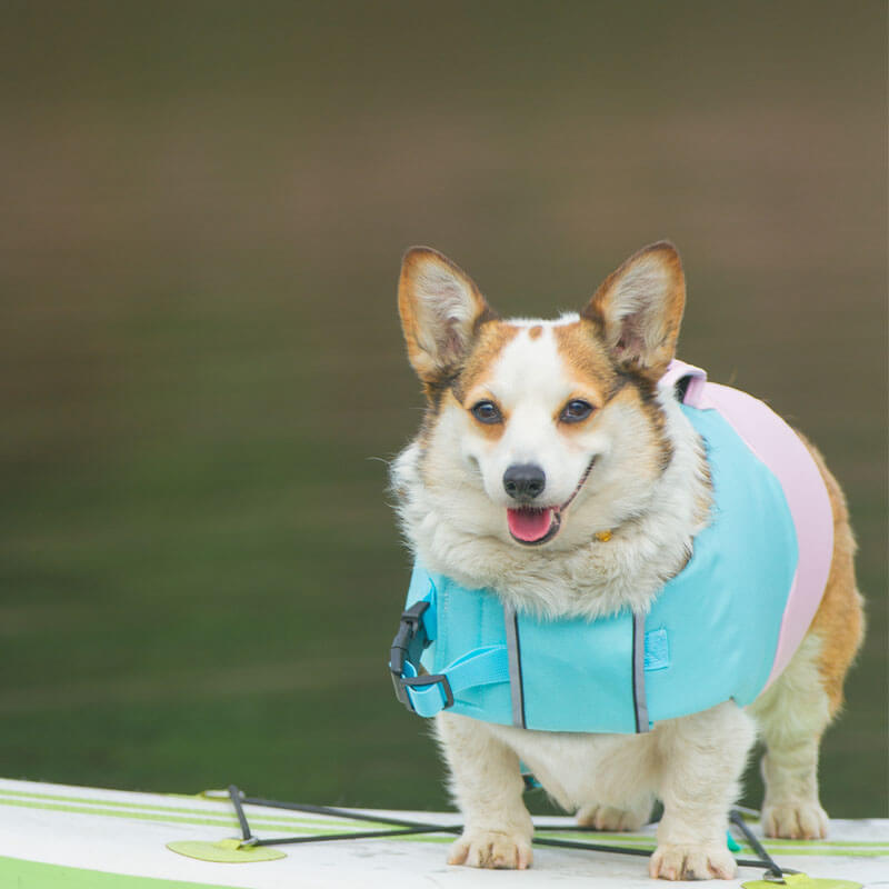 Adjustable Floatation Vest Dog Harness Dog Life Jacket