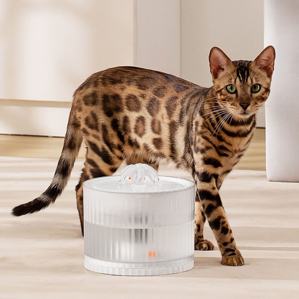 Anti-leakage Automatic Cycle Pet Smart Water Dispenser