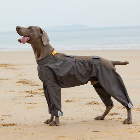 Fully Wrapped Reflective Dog Raincoat With Legs And Hood