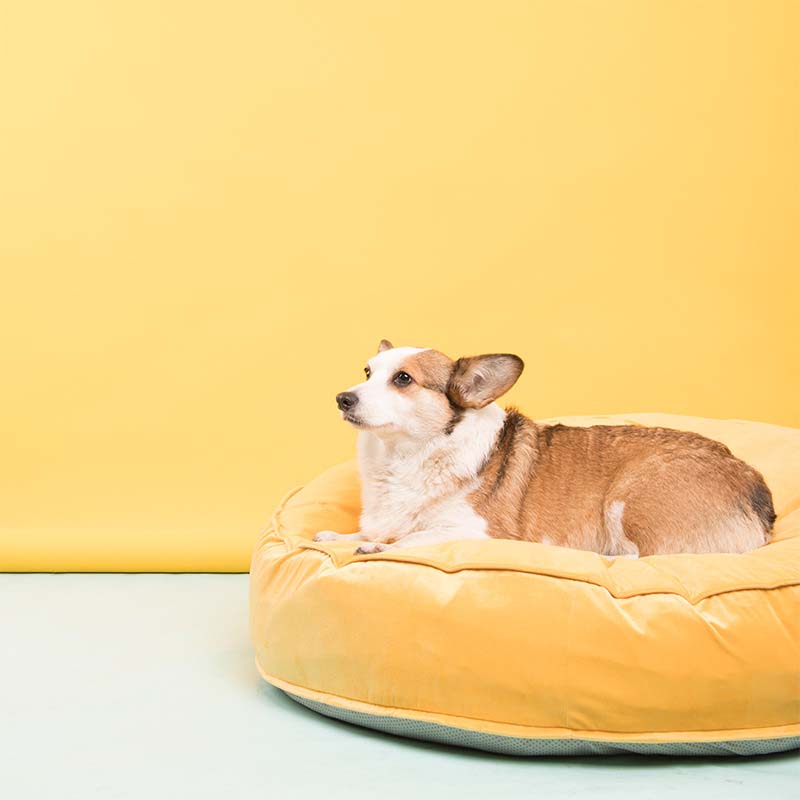 Soft Round Velvet Ice Silk Cooling Dog Bed